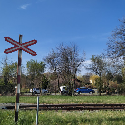 Trvalky a trávy - fotografie 7