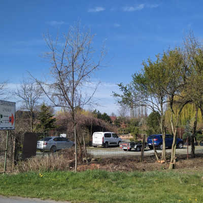 Trvalky a trávy - fotografie 8